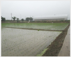  2024Ÿ��4888  ����