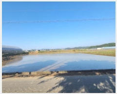  2024Ÿ��4888  ����