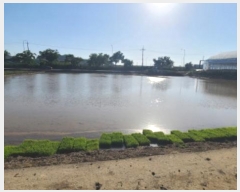  2024Ÿ��4888  ����