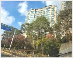  2024Ÿ��11930 ��� ���ν� ������ ����2�� 184, 203�� 15��1501ȣ (������,������Ʈ������)   ����Ʈ���