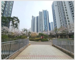  2024Ÿ��61812  ����Ʈ���