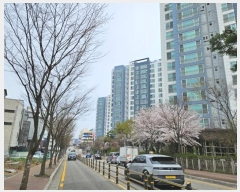  2024Ÿ��61812  ����Ʈ���