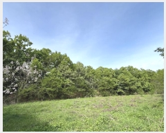  2024Ÿ��66558 ��� ���ν� ó�α� ������ ��︮ ��124     ����(�Ӿ�)���