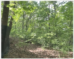  2024Ÿ��66558 ��� ���ν� ó�α� ������ ��︮ ��124     ����(�Ӿ�)���