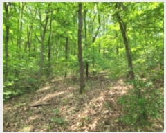  2024Ÿ��66558 ��� ���ν� ó�α� ������ ��︮ ��124     ����(�Ӿ�)���