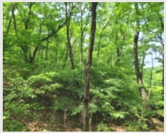  2024Ÿ��66558 ��� ���ν� ó�α� ������ ��︮ ��124     ����(�Ӿ�)���