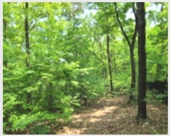  2024Ÿ��66558 ��� ���ν� ó�α� ������ ��︮ ��124     ����(�Ӿ�)���