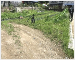  2024Ÿ��68035  ����