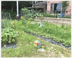  2024Ÿ��68035  ����