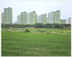  2024Ÿ��74337 ��� ȭ���� �Ⳳ�� �ϱ渮 419-13      ����(��)���