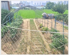  2024Ÿ74870  ȭ 굿 130-3       ()