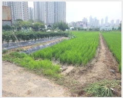  2024Ÿ74870  ȭ 굿 130-3       ()