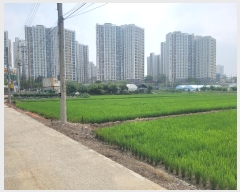  2024Ÿ74870  ȭ 굿 130-3       ()