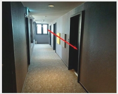  2024Ÿ��75941  �ܵ�(ȣ��)���