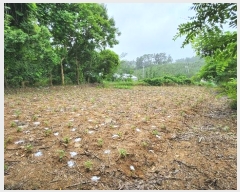  2024Ÿ��77572  �����