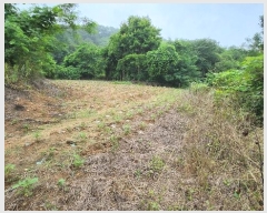  2024Ÿ��77572  �����