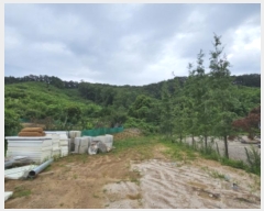  2024Ÿ��77572  �����