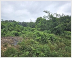  2024Ÿ��77572  �����