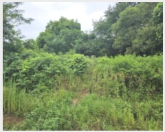  2024Ÿ��77572  �����