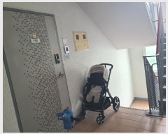  2024Ÿ��85986  ����Ʈ���