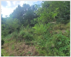  2024Ÿ��87234  �Ӿ߰��