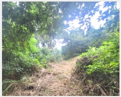  2024Ÿ��87234  �Ӿ߰��