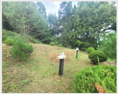  2024Ÿ��87234  �Ӿ߰��