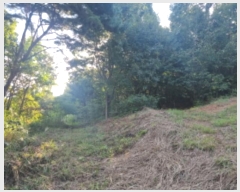  2024Ÿ��87234  �Ӿ߰��