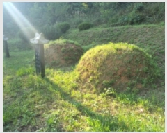  2024Ÿ��87234  �Ӿ߰��