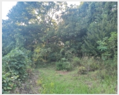  2024Ÿ��87234  �Ӿ߰��