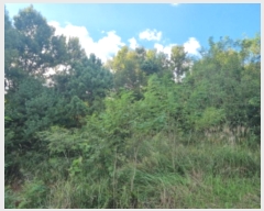  2024Ÿ��87234  �Ӿ߰��