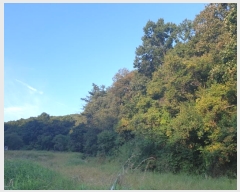  2024Ÿ��90629 ��� ���ν� ó�α� �̵��� ���� 379     ����(��)���