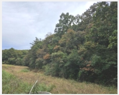  2024Ÿ��90629 ��� ���ν� ó�α� �̵��� ���� 379     ����(��)���