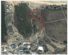  2024Ÿ��90629 ��� ���ν� ó�α� �̵��� ���� 379     ����(��)���