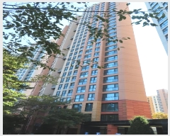  2024Ÿ��91257  ����Ʈ���