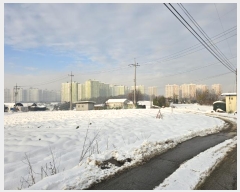  2024Ÿ��99053 ��� ȭ���� �Ⳳ�� �ϱ渮 389-15      ����(��1)���