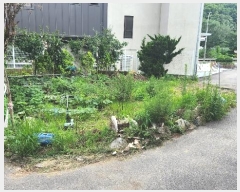  2024Ÿ7184  ν  ź 547      ()