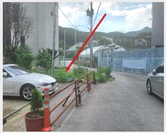  2024Ÿ7184  ν  ź 547      ()