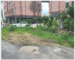  2024Ÿ7184  ν  ź 547      ()