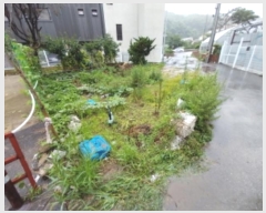  2024Ÿ7184  ν  ź 547      ()