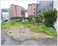  2024Ÿ7184  ν  ź 547      ()