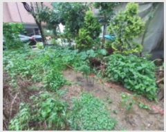  2024Ÿ7184  ν  ź 547      ()