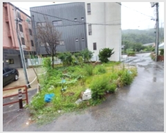  2024Ÿ7184  ν  ź 547      ()