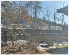  2024Ÿ��12544  �Ӿ߰��