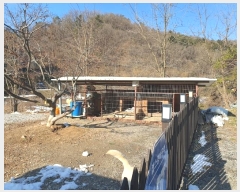  2024Ÿ��12544  �Ӿ߰��