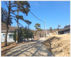  2024Ÿ��12544  �Ӿ߰��