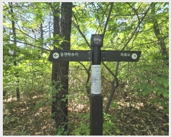  2024Ÿ64590  ν  õ 10-4      (Ӿ)