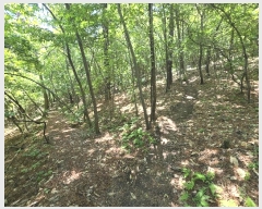  2024Ÿ64590  ν  õ 10-4      (Ӿ)