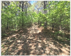  2024Ÿ64590  ν  õ 10-4      (Ӿ)