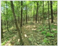  2024Ÿ64590  ν  õ 10-4      (Ӿ)